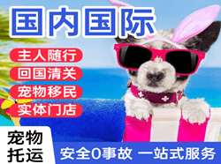 荷花机场货运国际宠物托运 【国